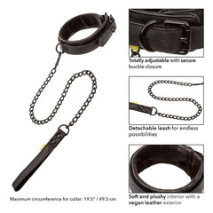 CALEXOTICS - COLLAR AND LEASH WITHOUT LIMITS
