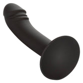 CALEXOTICS - CURVED ANAL STUD?