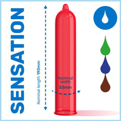 PASANTE - ECO PACK CONDOMS FLAVORS BAG 288 UNITS