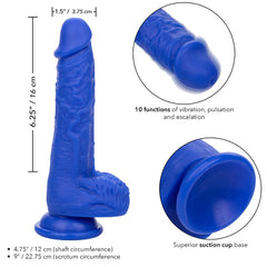 CALEXOTICS - ADMIRAL DILDO VIBRADOR REALISTICO MARINERO AZUL