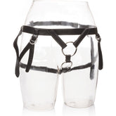 CALEXOTICS - SU ROYAL HARNESS LA DUTCHES TALLA ÚNICA