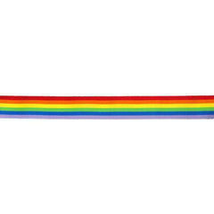 ORGULLO - BANDA DE LA BANDERA LGBT