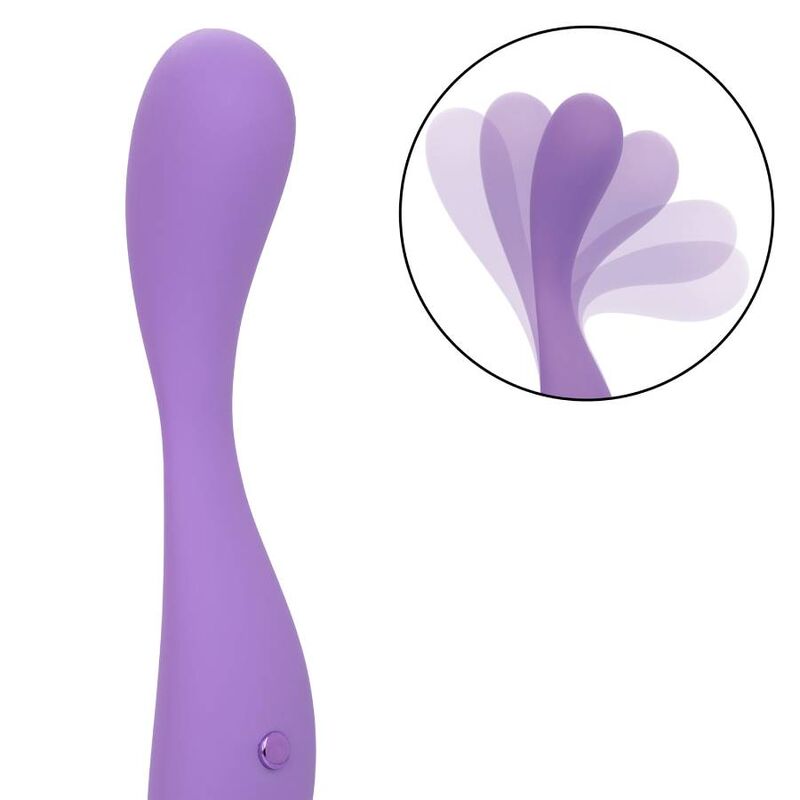 CALEXÓTICAS - CONTORNO MEDIO VIOLETA