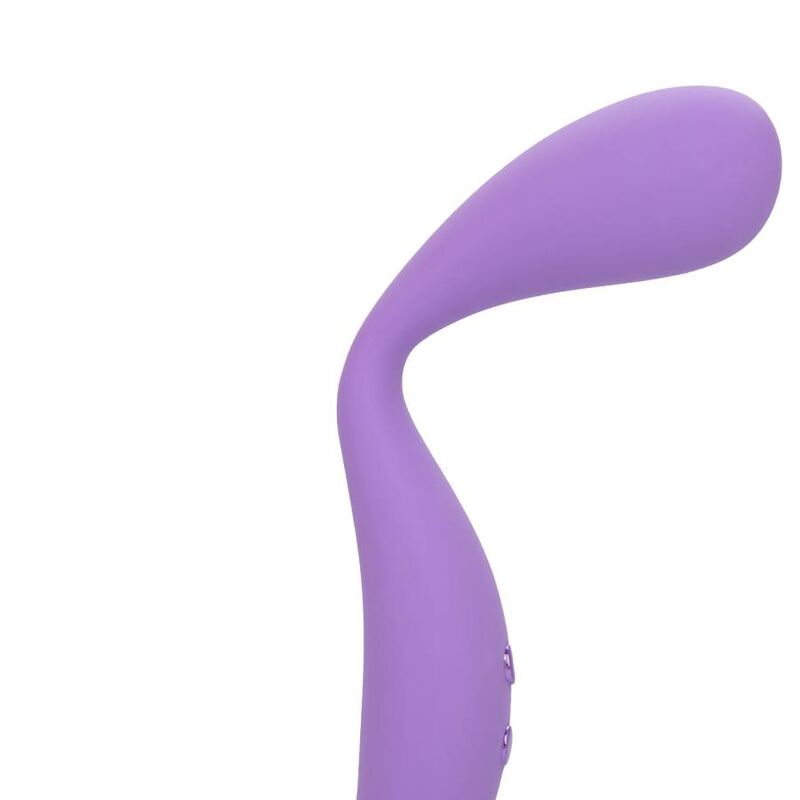 CALEXÓTICAS - CONTORNO MEDIO VIOLETA