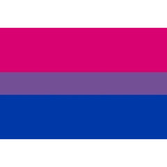 ORGULLO - PULSERA BANDERA BISEXUAL 90 X 150