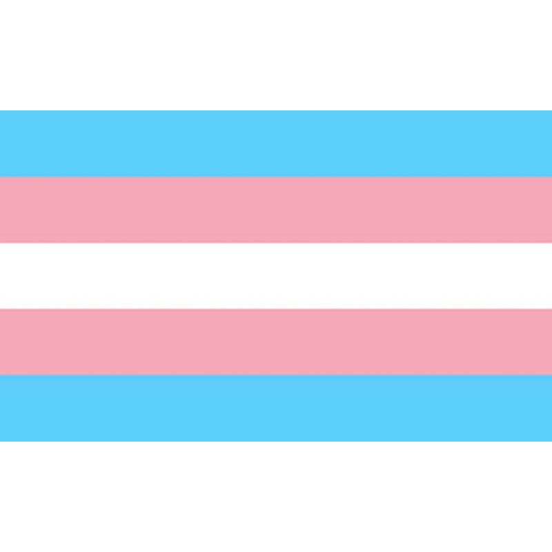 PRIDE - DRAPEAU TRANSEXUEL 90 X 150