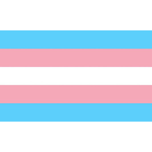 PRIDE - DRAPEAU TRANSEXUEL 90 X 150