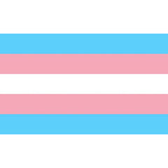 ORGULLO - BANDERA TRANSEXUAL 90 X 150