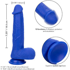 CALEXOTICS - DILDO VIBRADOR REALISTA ADMIRAL CAPTAIN AZUL