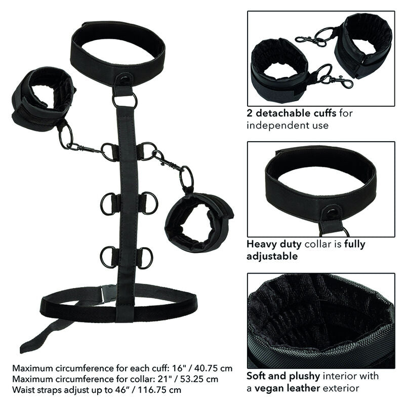 CALEXOTICS - BOUNDLESS RESTRAINT COLLAR