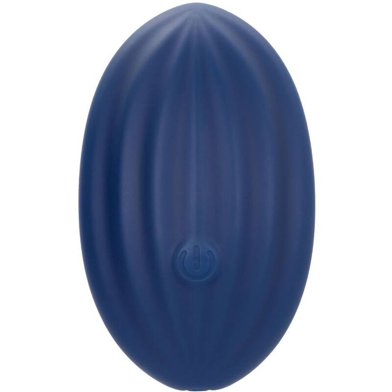 CALEXOTICS - CASHMERE VELOURS CURVE BLUE