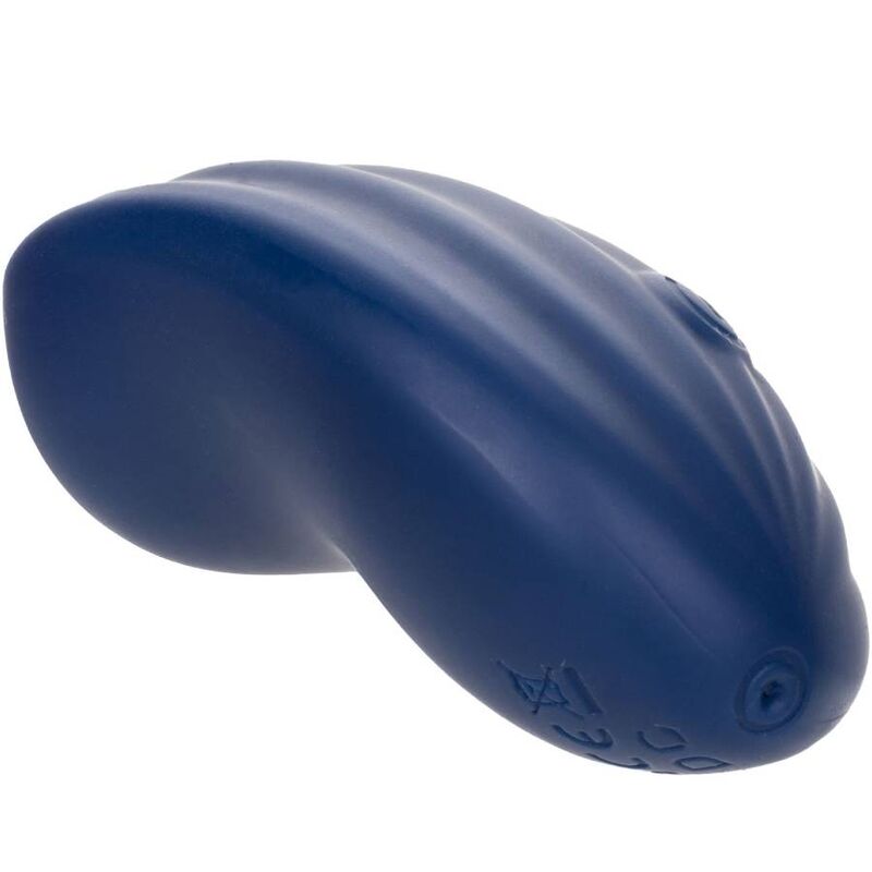 CALEXOTICS - CASHMERE VELOURS CURVE BLUE