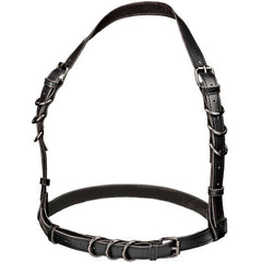 CALEXOTICS - EUPHORIA HARNESS BUCKLE HALTER PLUS SIZE BLACK