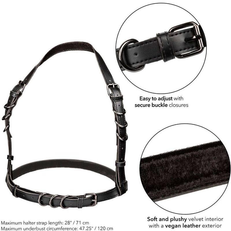 CALEXOTICS - EUPHORIA HARNESS BUCKLE HALTER PLUS SIZE BLACK