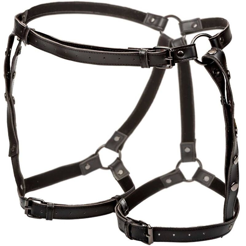 CALEXOTICS - EUPHORIA MONTAR ARNÉS DE MUSLO