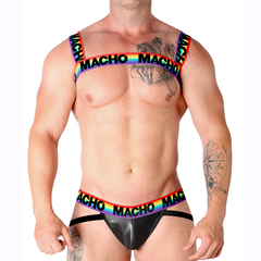 MACHO - DOUBLE PRIDE HARNESS LIMITED