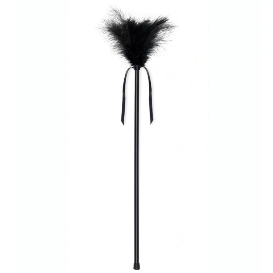 SECRETPLAY - PLUMES NOIRES 40 CM