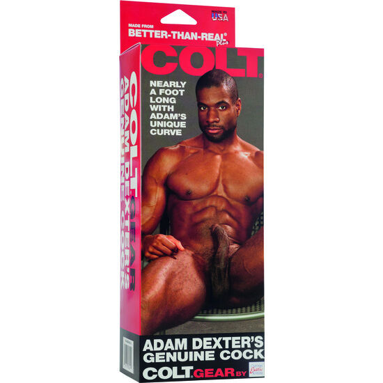 CALEXOTICS - COLT ADAM DEXTER'S DICK