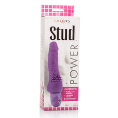 CALEXOTICS - VIBRADOR CLITERRÍFICO VIOLET POWER STUD