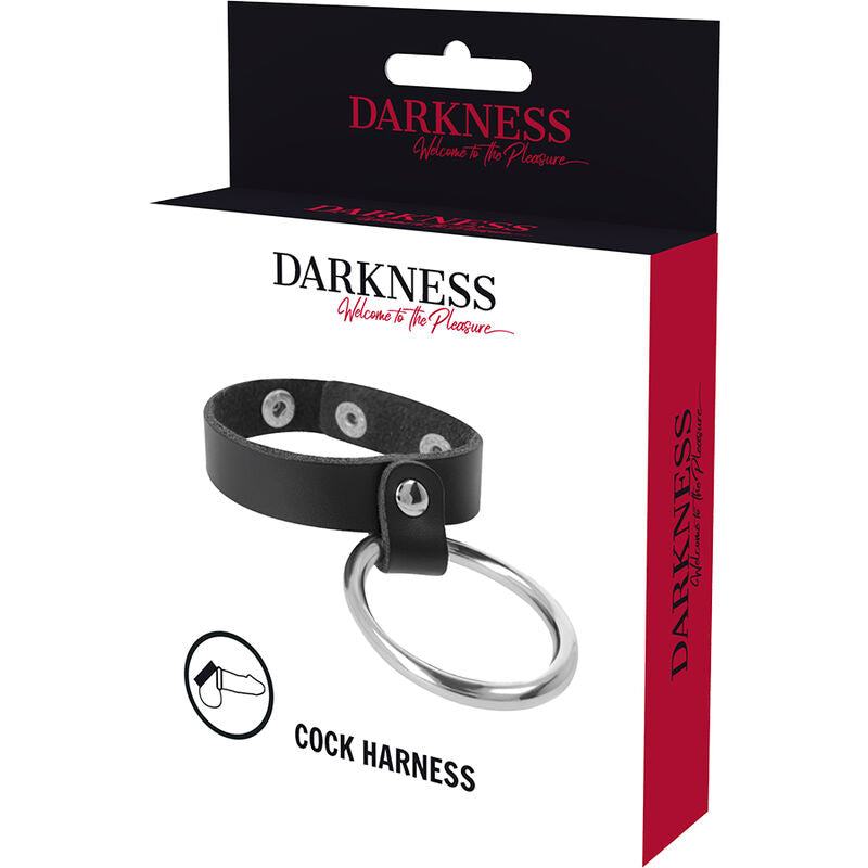 DARKNESS - ANILLO DE METAL PARA EL PENE Y TESTICULOS