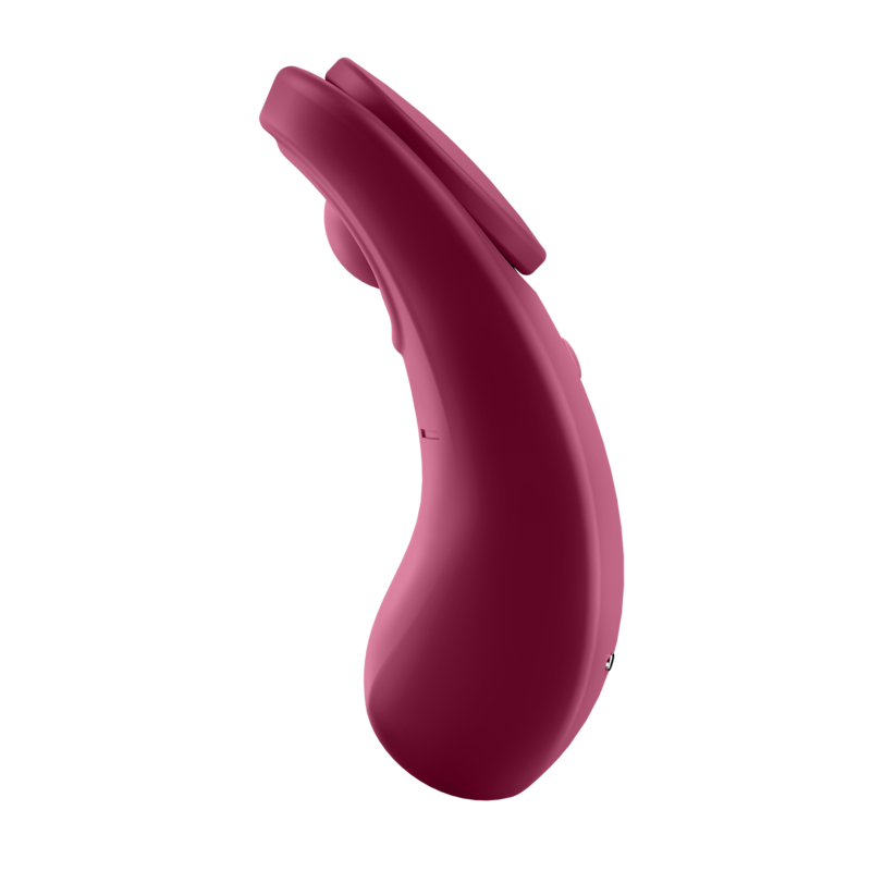 SATISFYER - SECRET SEXY PANTIES