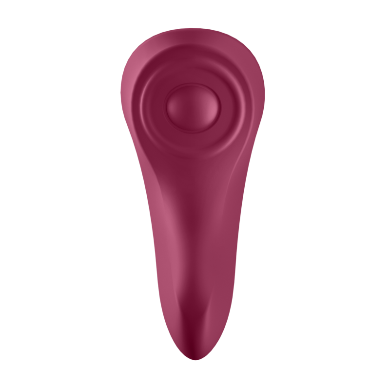 SATISFYER - SECRET SEXY PANTIES